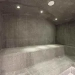 Apartment Neuf Avec Terrasse, 2 Pres Des Pistes, Sauna, Hammam, Salle De Sport, Parking - Fr-1-569-57 *