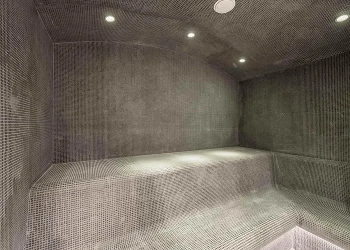 Appartement Neuf Avec Terrasse, 2 Pres Des Pistes, Sauna, Hammam, Salle De Sport, Parking - Fr-1-569-57 *